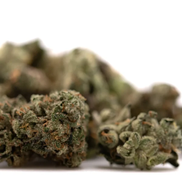 Sour Runtz Indoor THCa Flower Smalls - Image 2