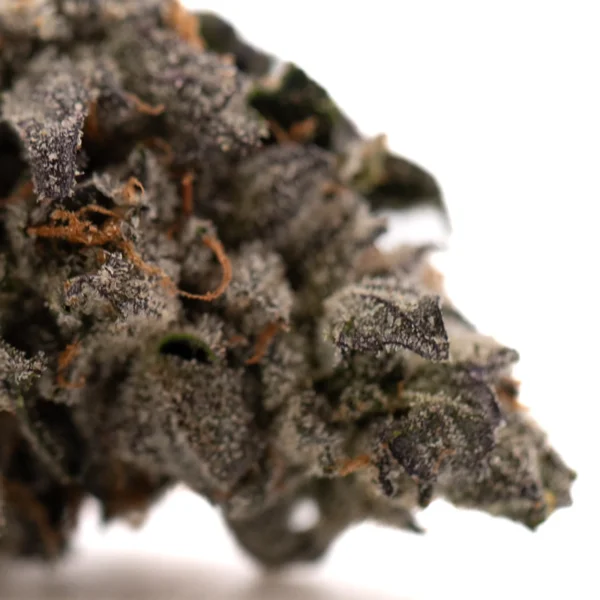Rose Gold Runtz Indoor THCa Flower - Image 2