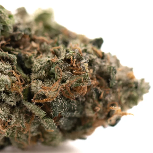 Humboldt Indoor THCa Flower - Image 2