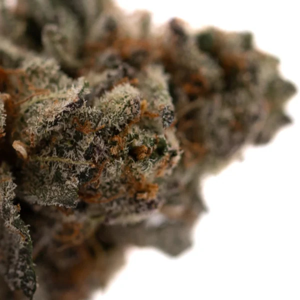 Poppin' Bottlez #2 Indoor THCa Flower - Image 2