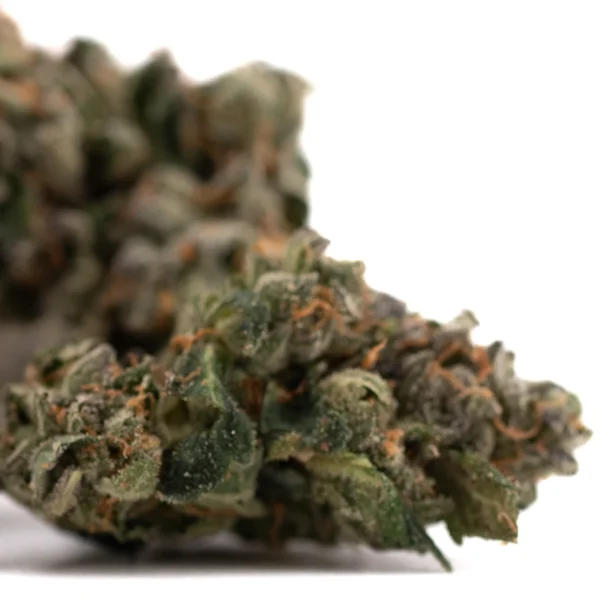 Rose Gold Runtz Indoor THCa Flower - Image 4