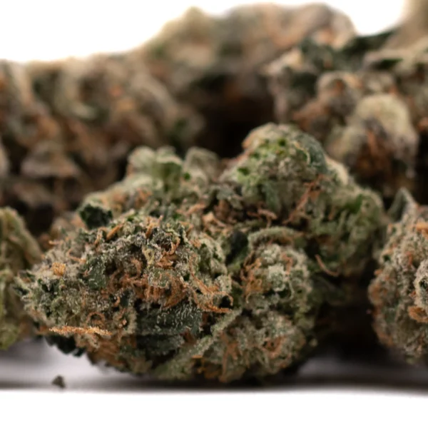 Humboldt Indoor THCa Flower - Image 4