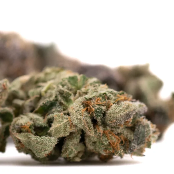 Poppin' Bottlez #2 Indoor THCa Flower - Image 4