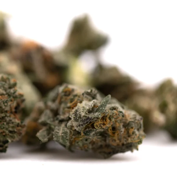 Sour Runtz Indoor THCa Flower Smalls - Image 5