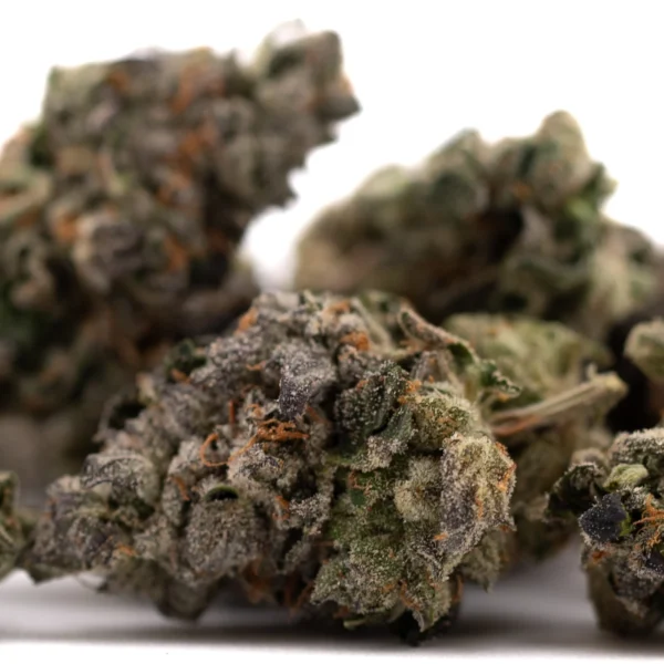 Rose Gold Runtz Indoor THCa Flower - Image 5