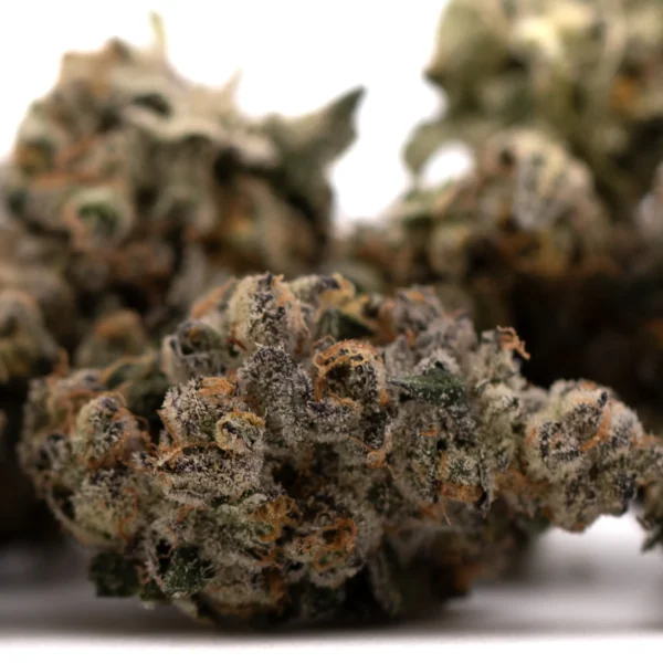 Green Crack Indoor THCa Flower - Image 5