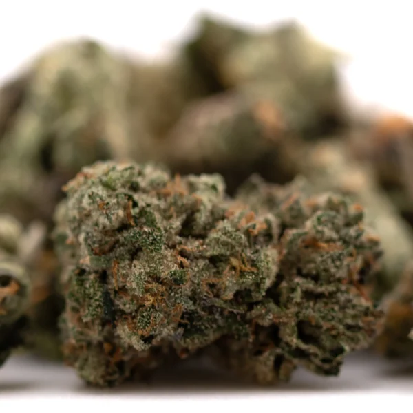 Sour Runtz Indoor THCa Flower Smalls - Image 6