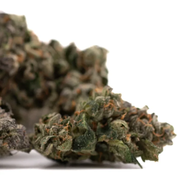 Rose Gold Runtz Indoor THCa Flower - Image 6